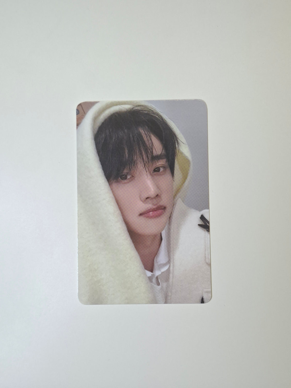 The Boyz a;effect Everline