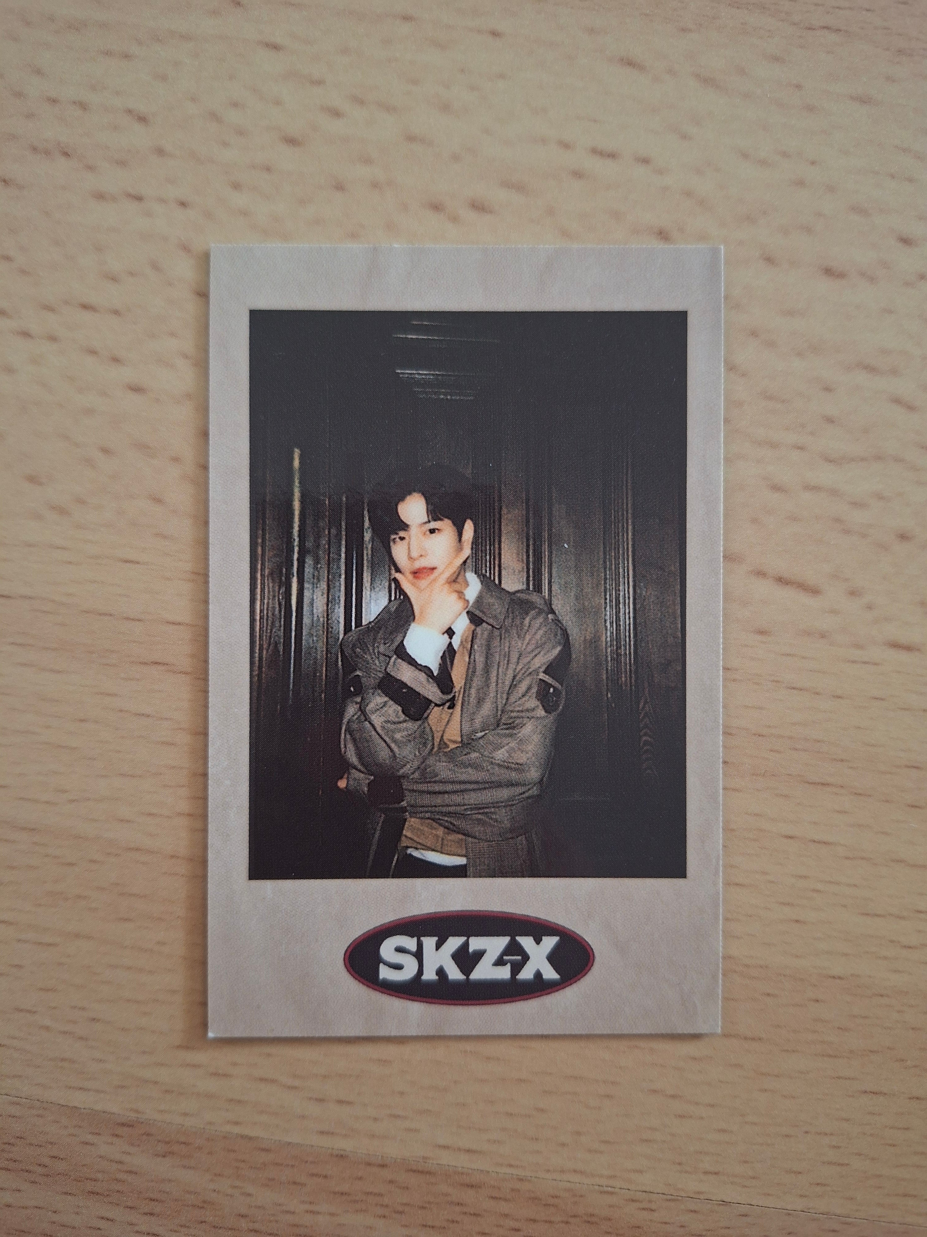 Stray Kids Skz-x & Skzoo Merch POB