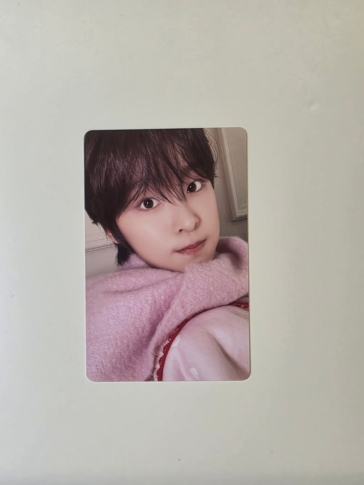 Nct Wish Pink Christmas Random Photocard Riku