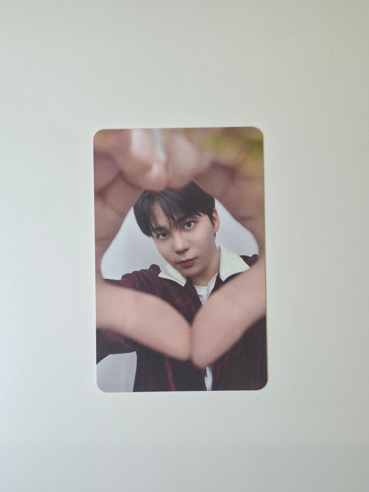 Ateez Aniteez in Color Random Photocard Pack Selfie