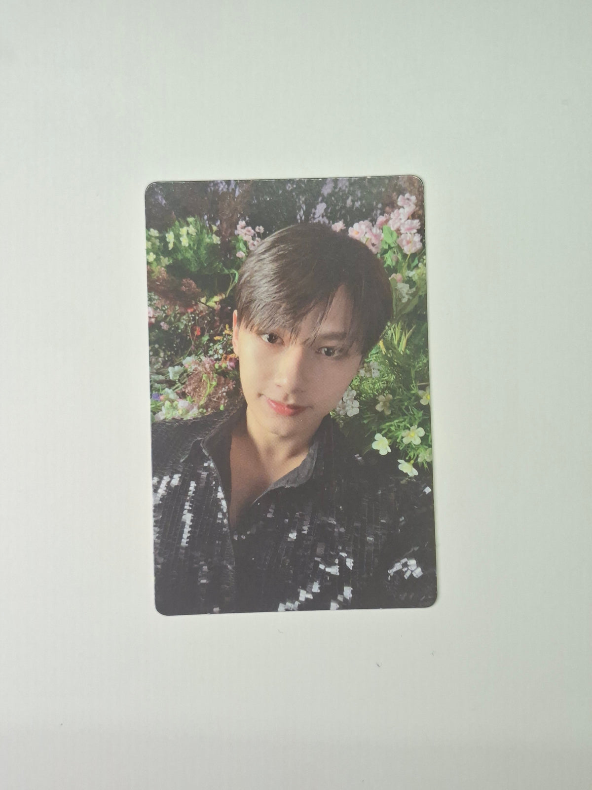 Seventeen Face the Sun Carat Album Photocard