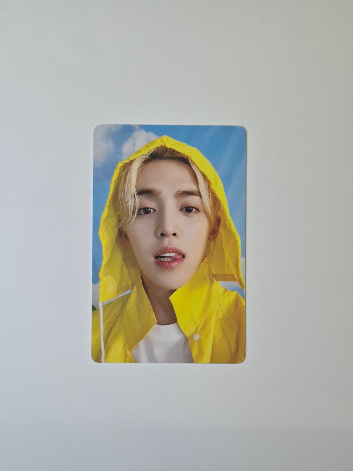 Seventeen Seventeenth Heaven Carat Photocard