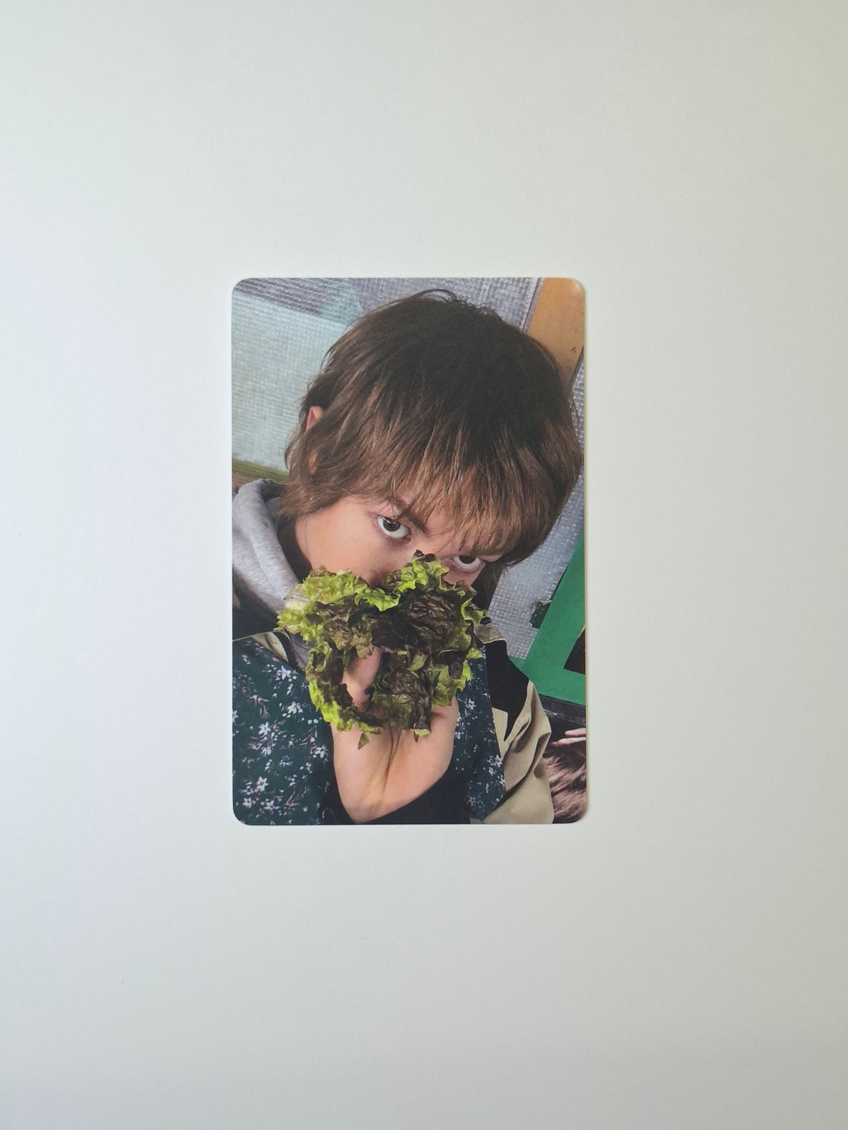 Cortis GreenGreen Music Art Fansign Photocard