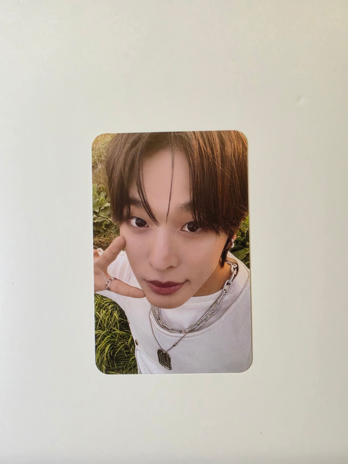 Nct Wish Wishlist Riku Benefit