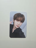 Ateez Europe Fanclub Benefit