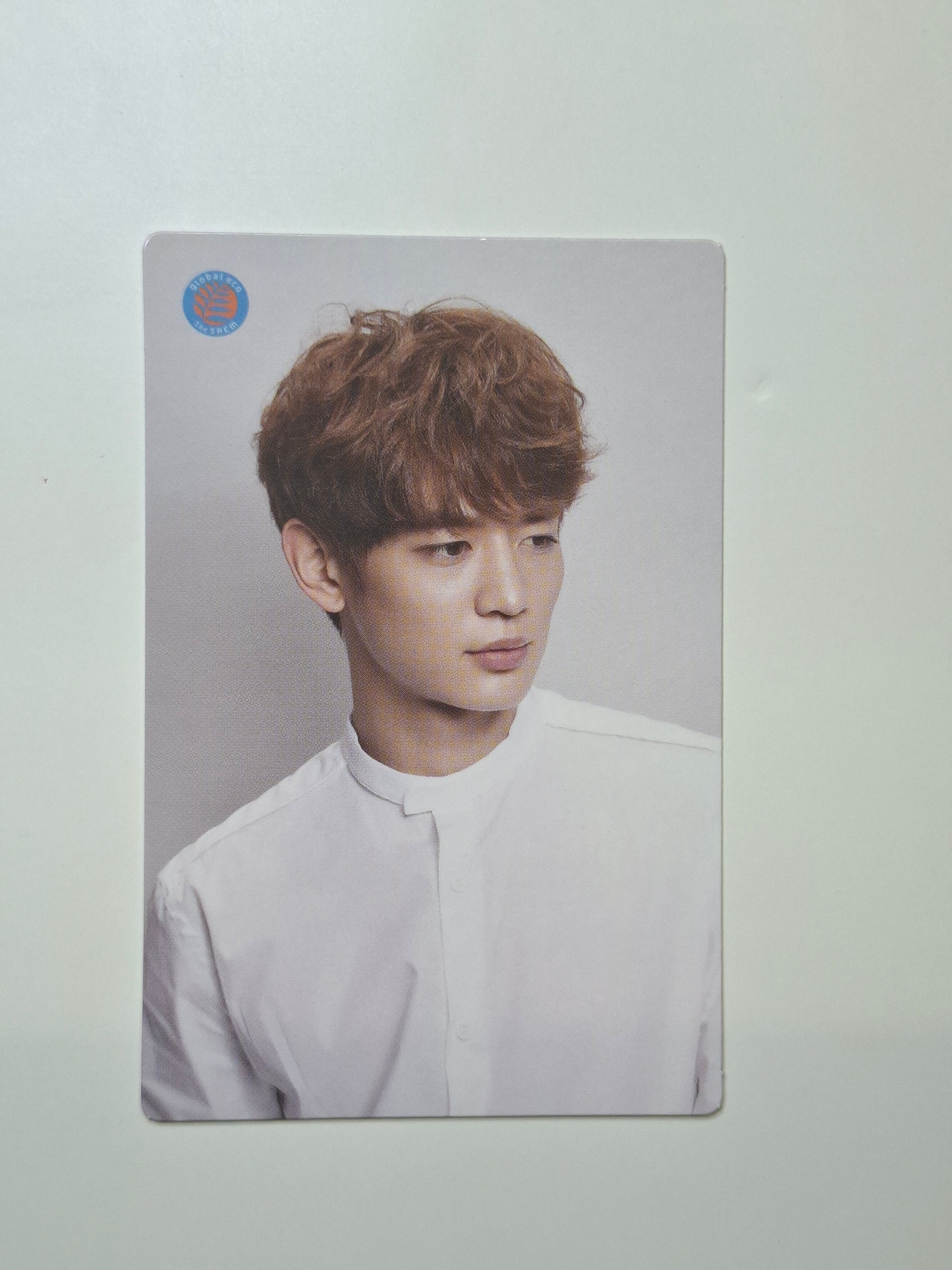 Shinee The Saem Photocard