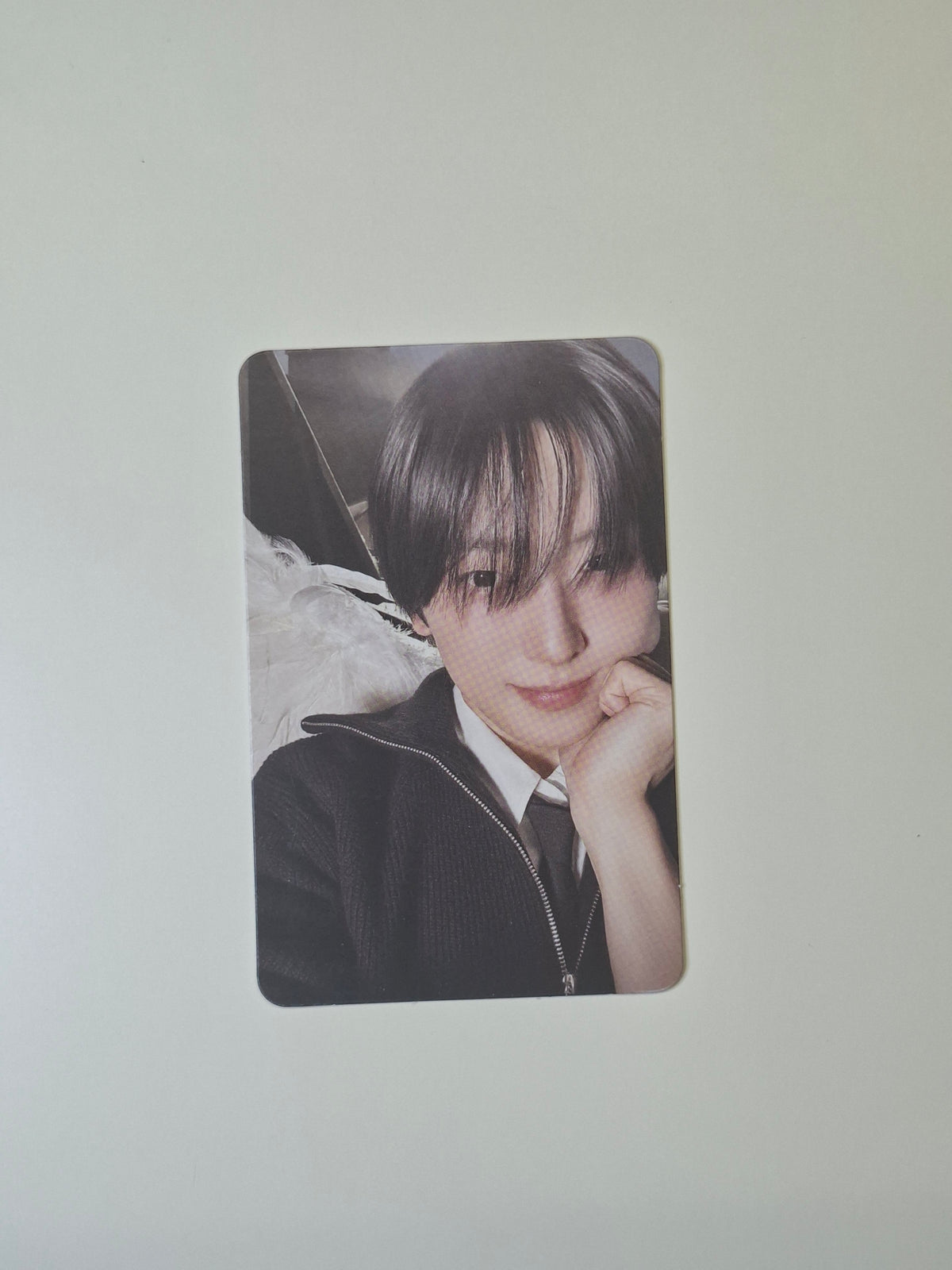 &Team Back to Life Mini CD Photocard