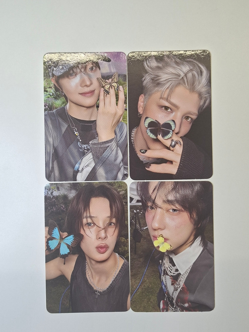 &Team Back to Life Roar Random Photocard