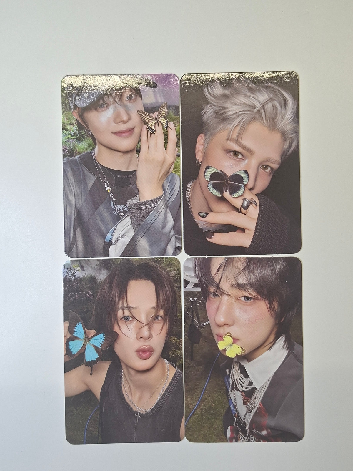 &Team Back to Life Roar Random Photocard