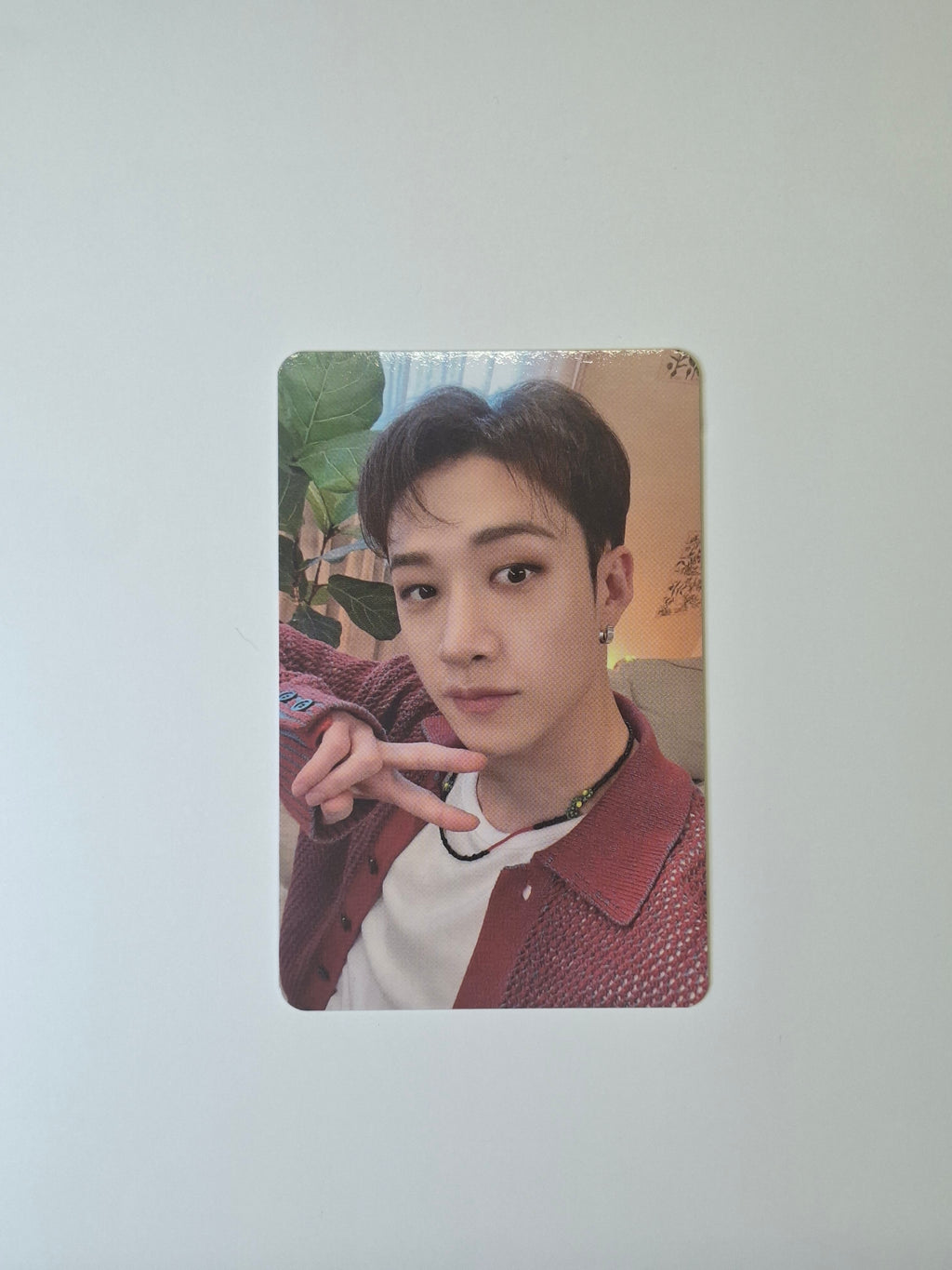 Stray Kids Fanclub Photocard