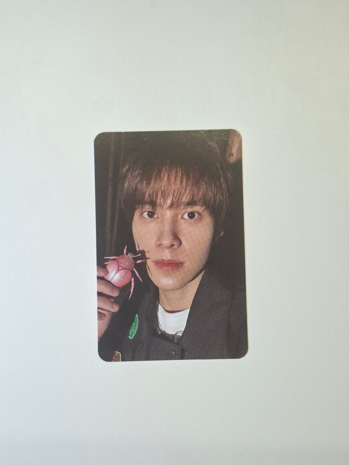 WayV Give me That Photobook