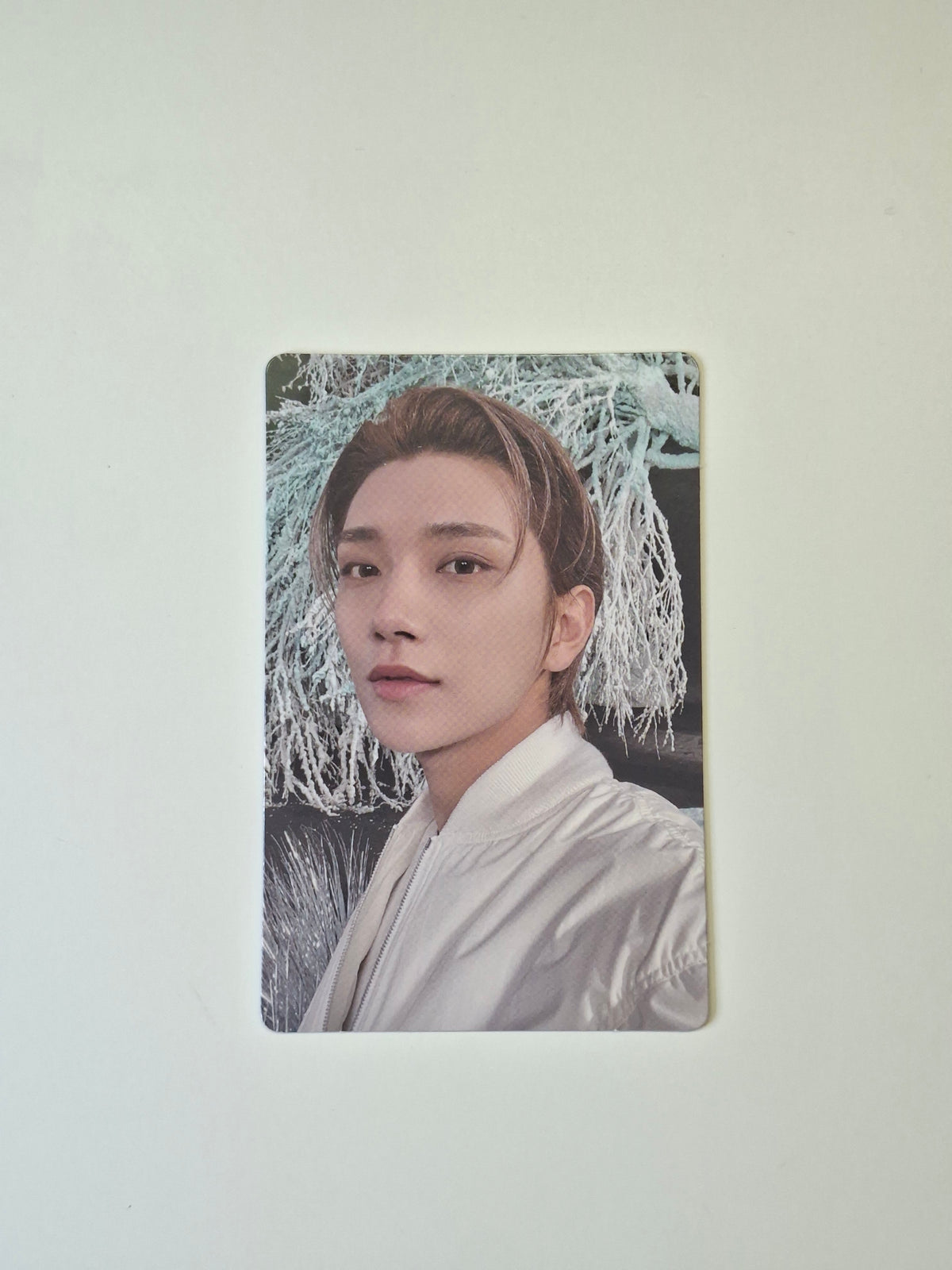 Seventeen Sector 17 Album Photocard