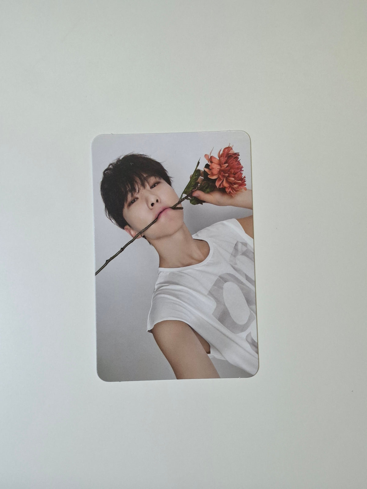 Seventeen 17 is Right Here Dear Version