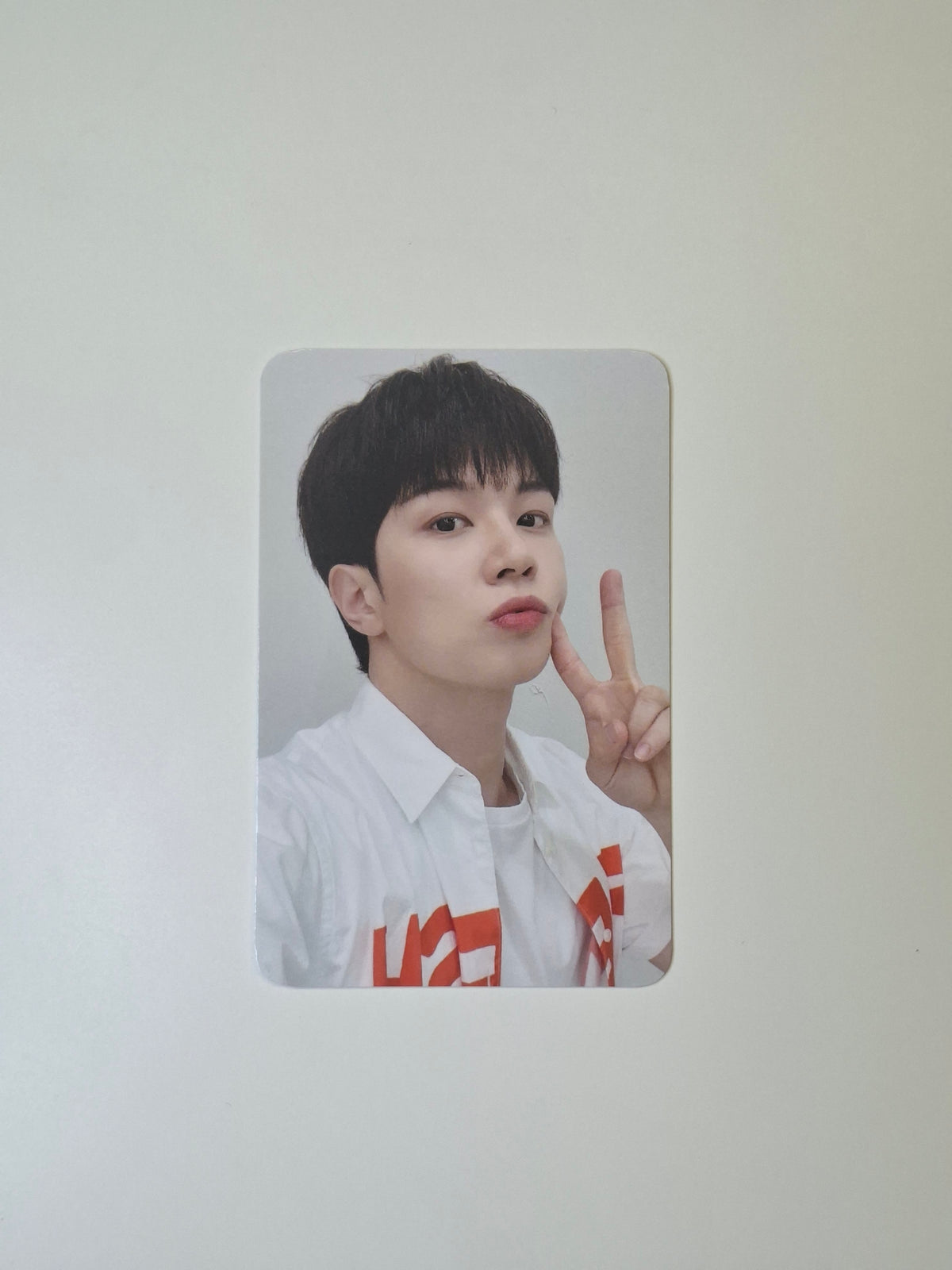 N.Flying Everlasting Everline