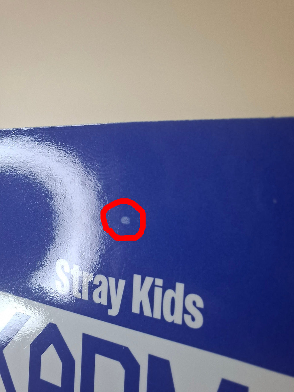 Stray Kids Karma Album Photocard