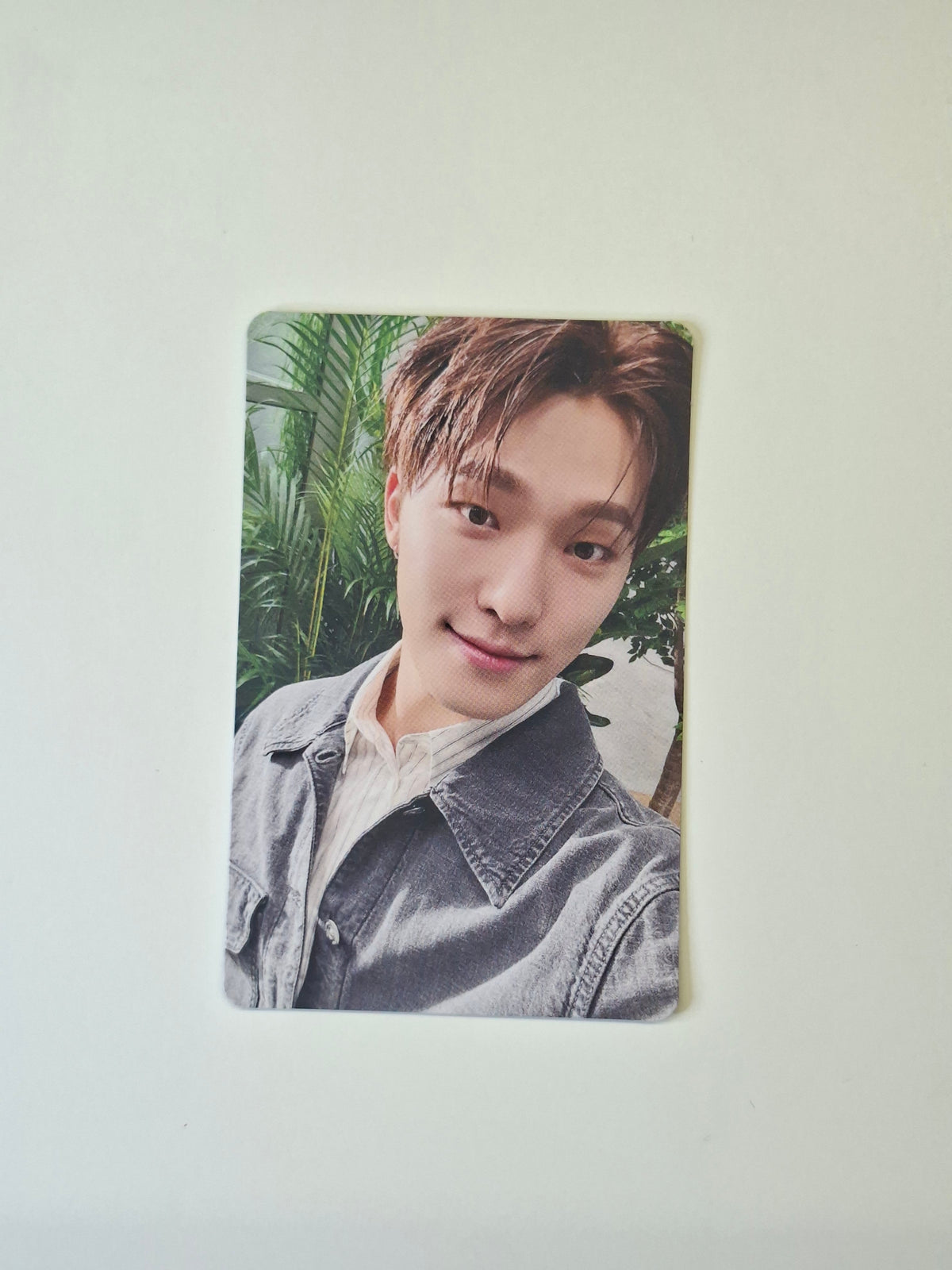Seventeen Japanese Photocard