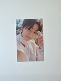 Seventeen Face the Sun Weverse