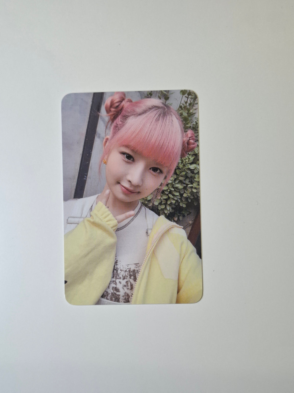 Ive Corntea Collaboration Rei Photocard