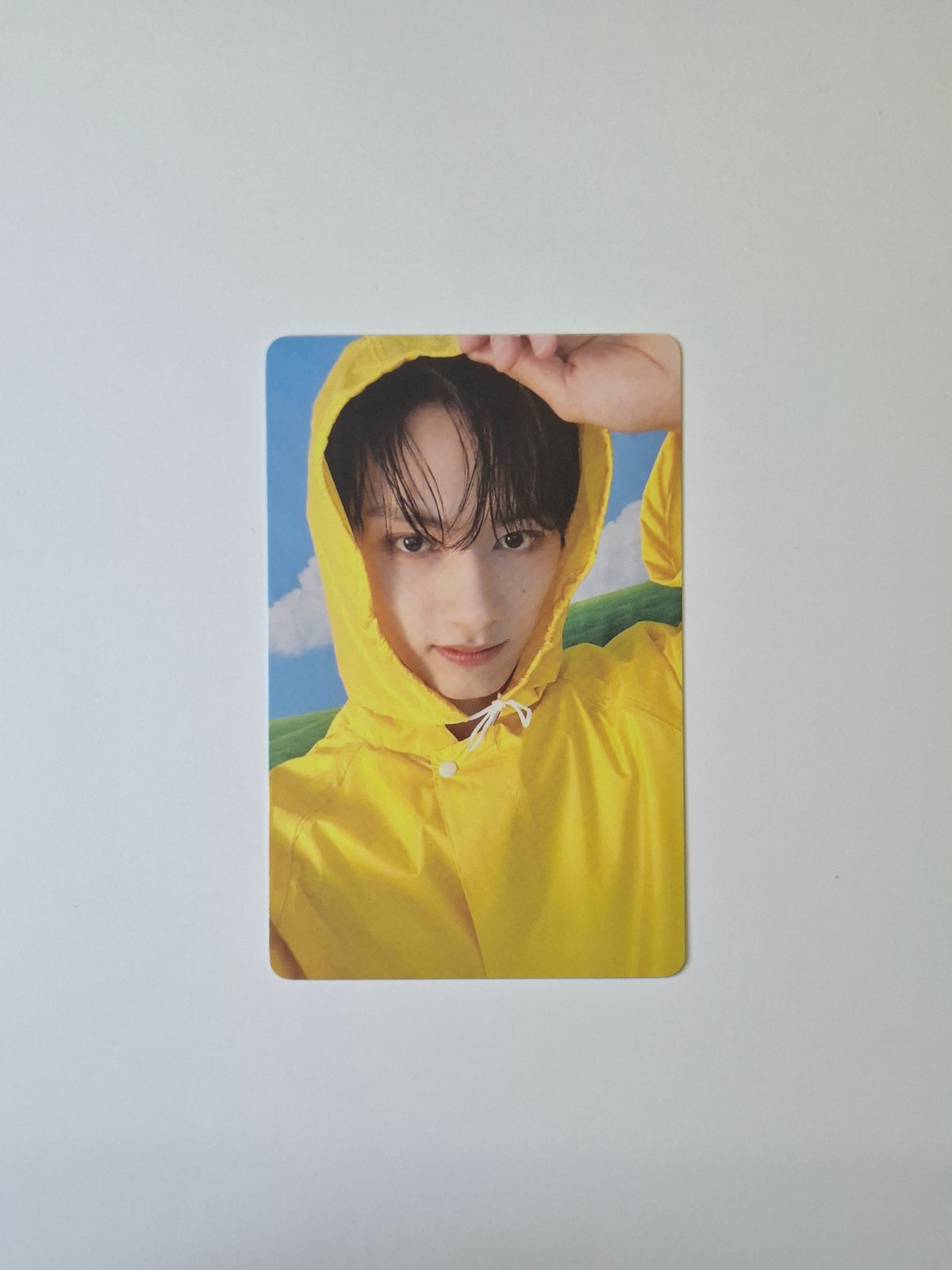 Seventeen Seventeenth Heaven Carat Photocard