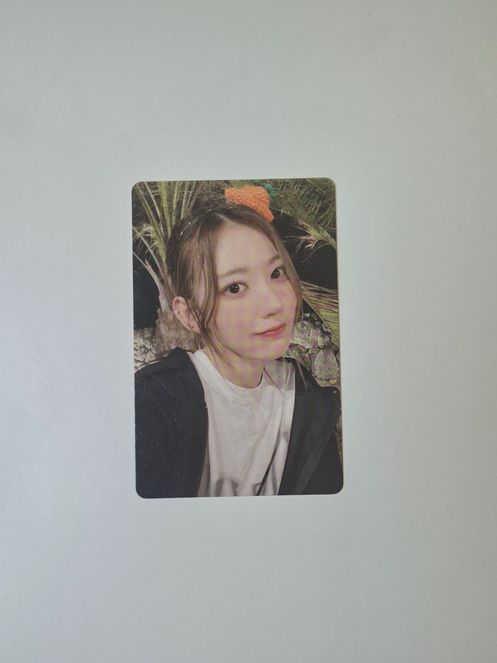 Lesserafim Day off in Jeju