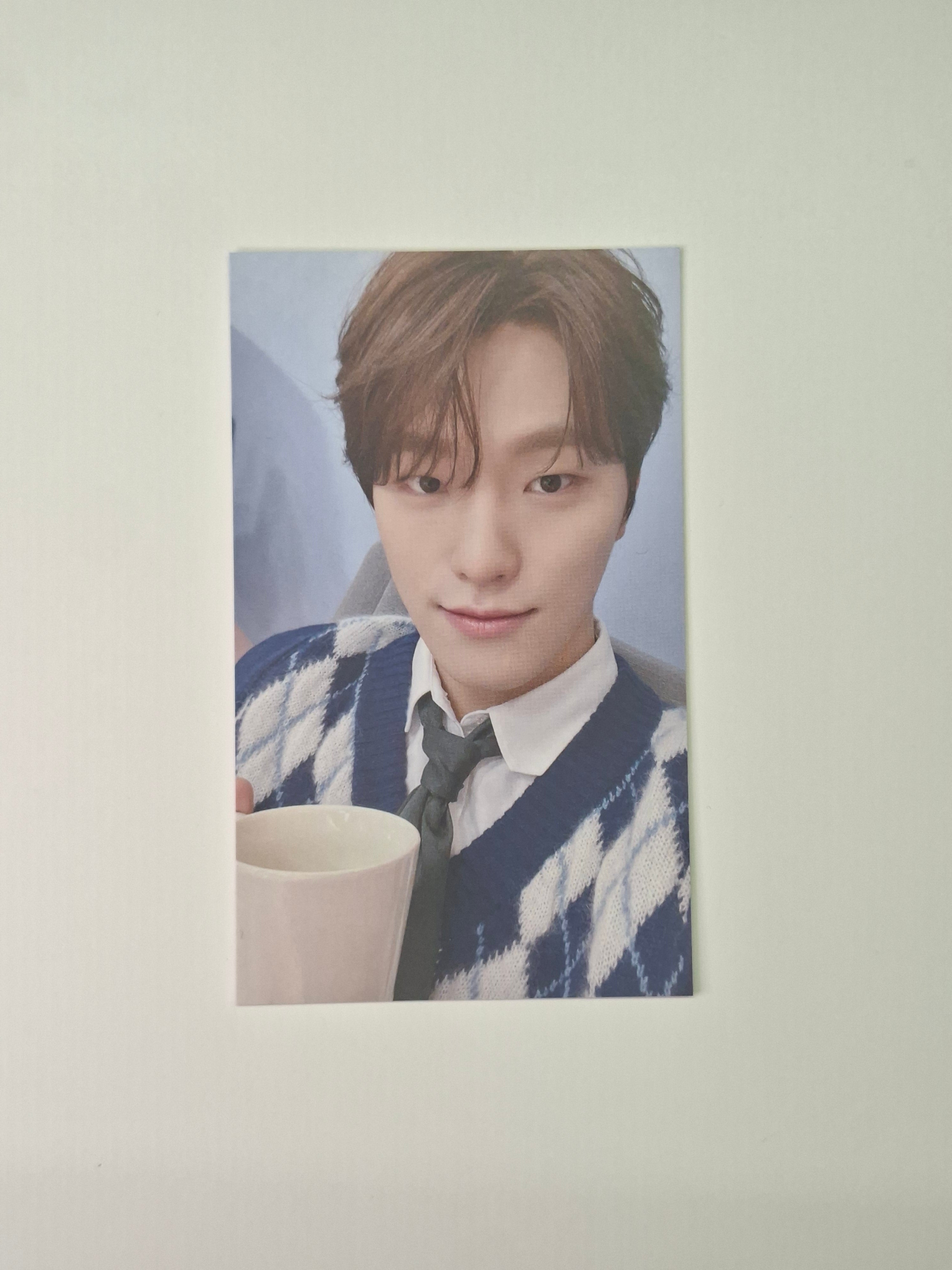 Seventeen FML Dino UMS Japan POB