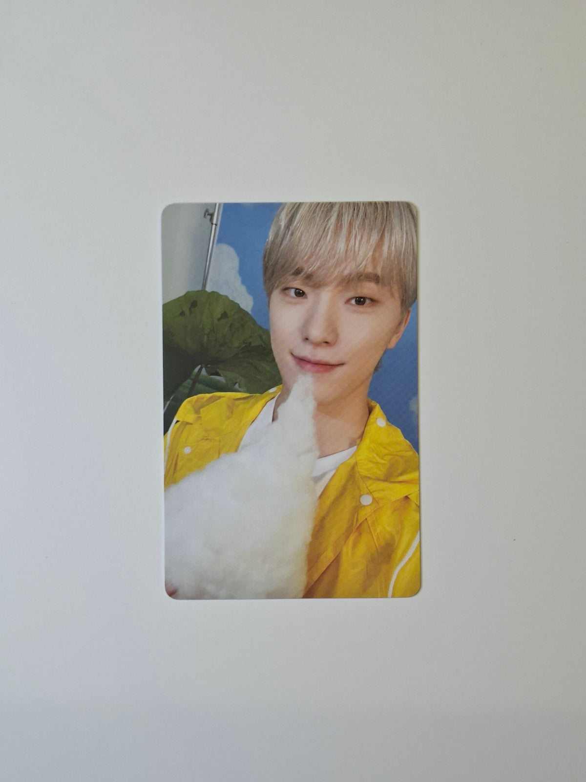 Seventeen Seventeenth Heaven Carat Photocard