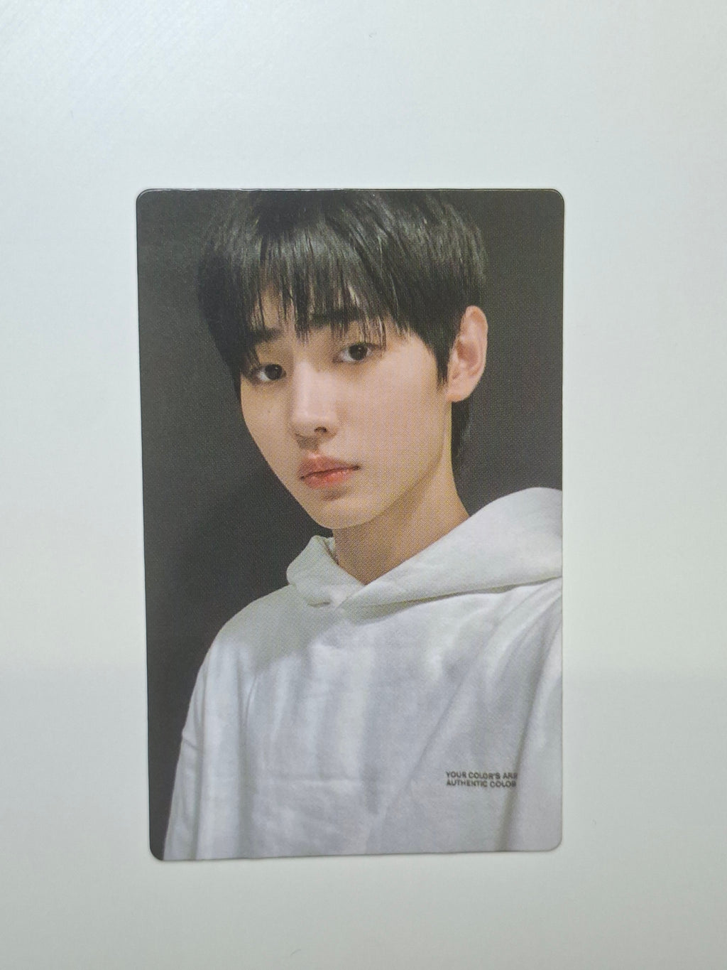 Enhypen Lightstick Ver 1 Photocard