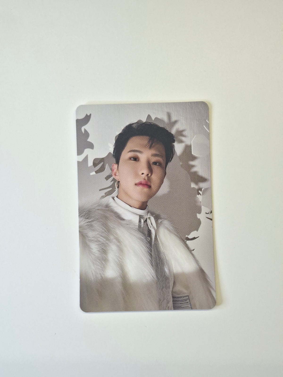 Seventeen Japanese Photocard