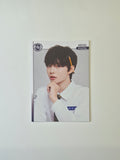 Kickflip Teleca Cards