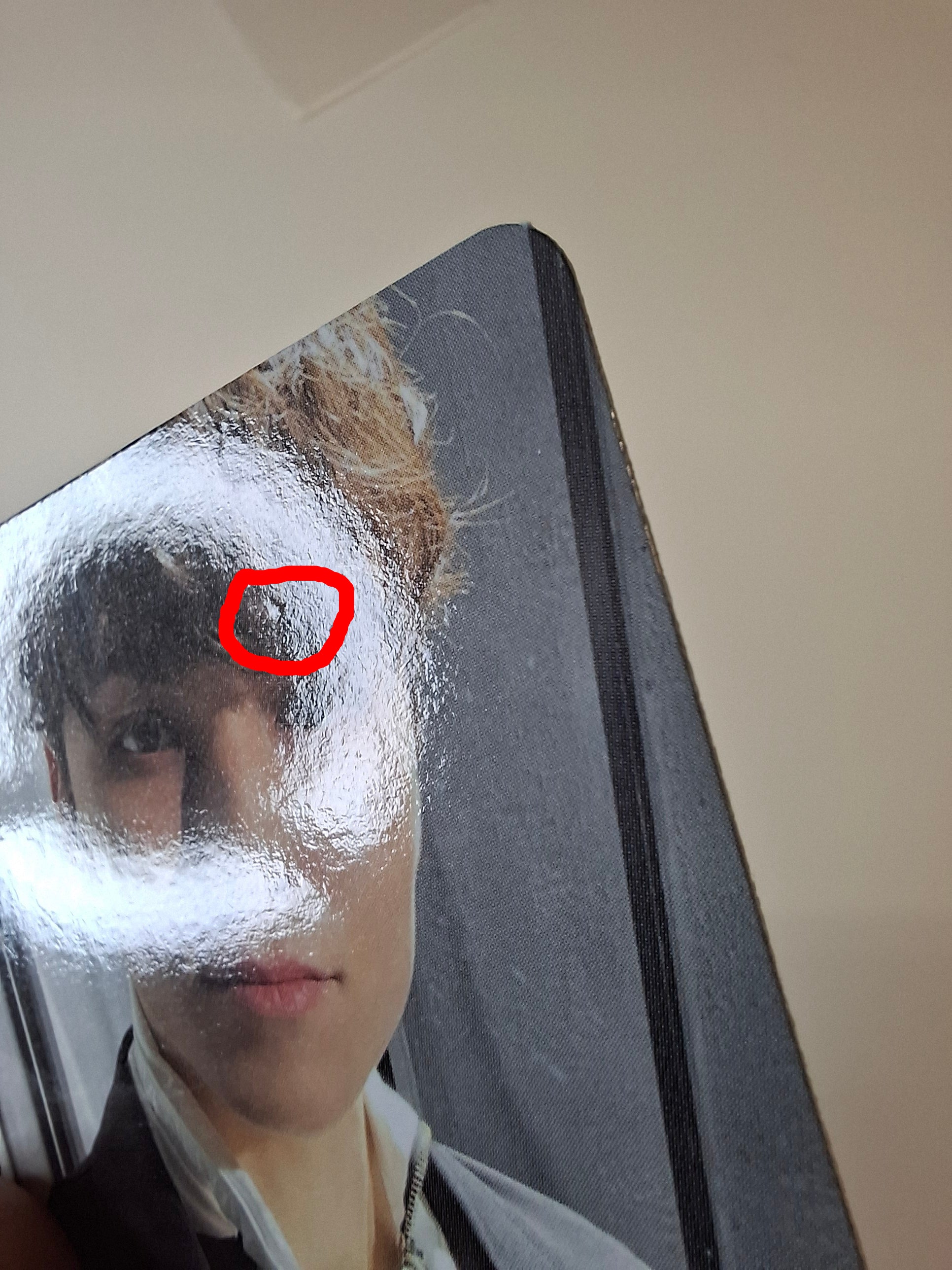 Seventeen Face the Sun Album Photocard