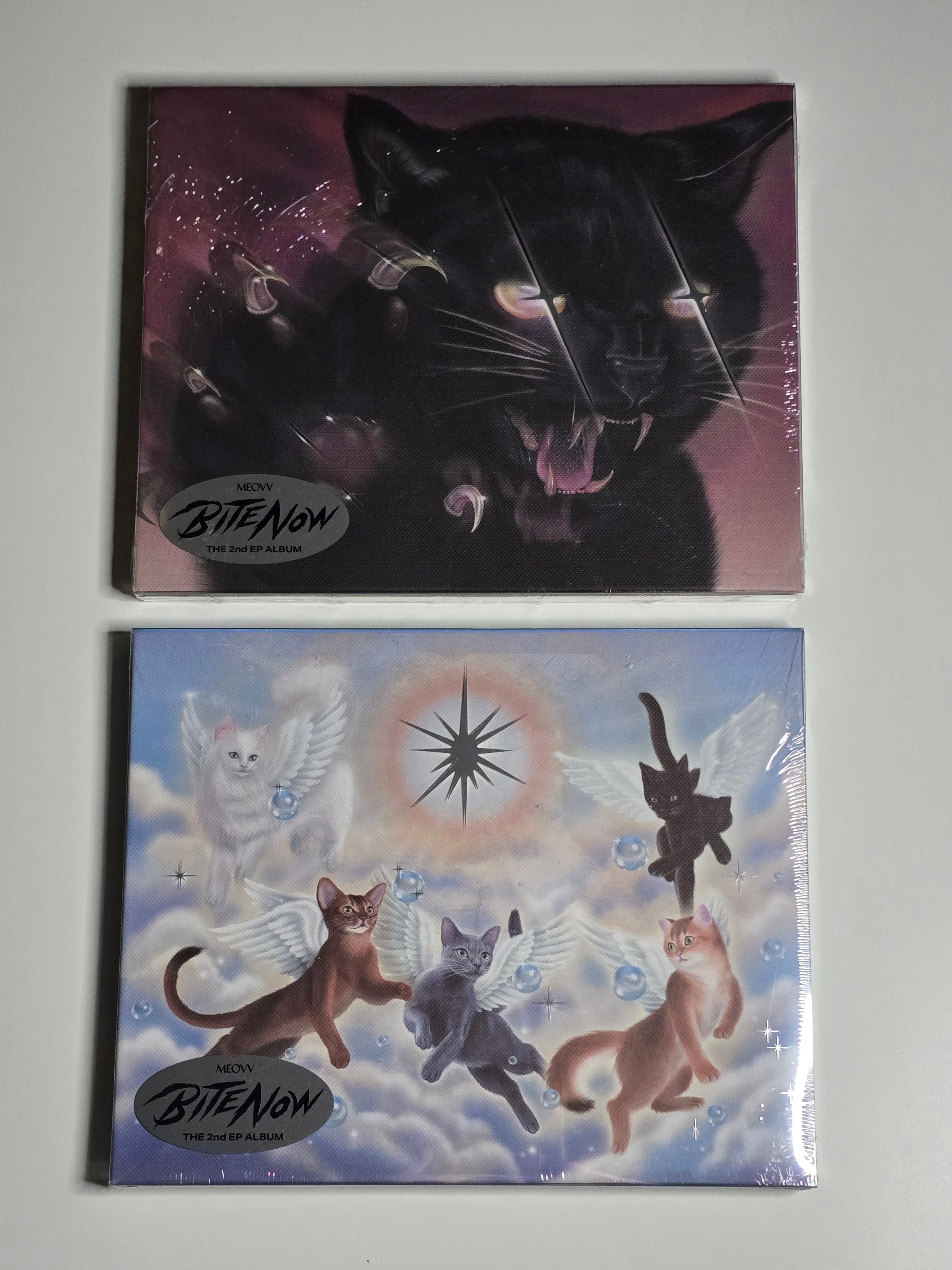 Meovv Bite Now Photobook Version