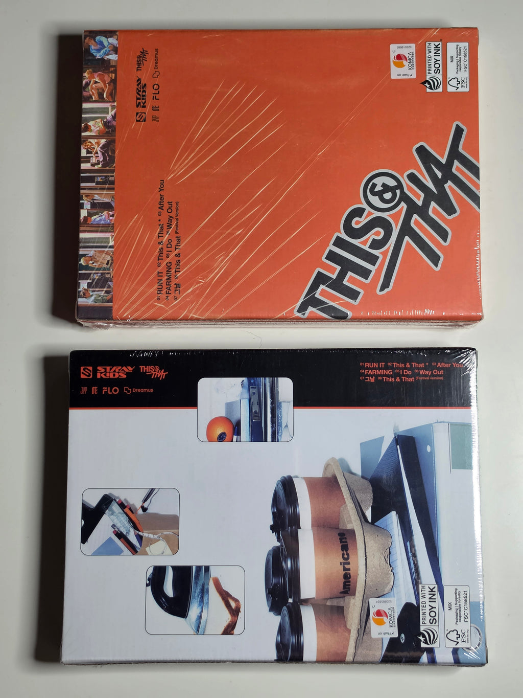 Stray Kids This & That Photobook
