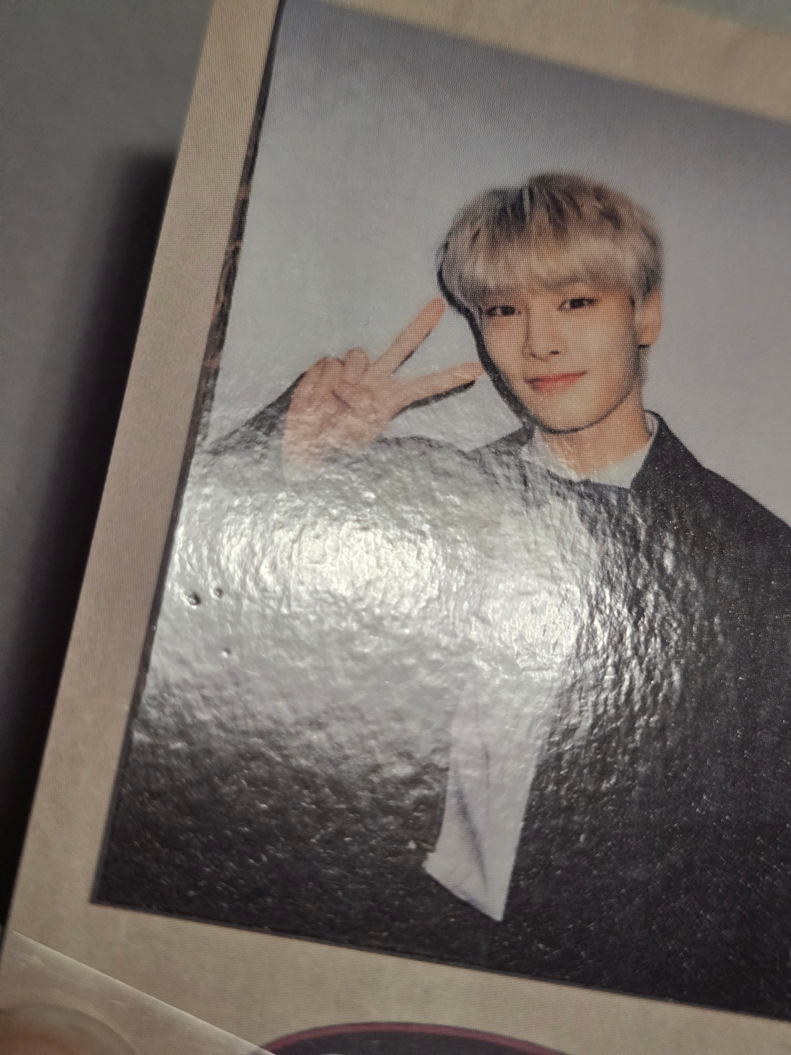 Stray Kids Skz-x & Skzoo Merch POB