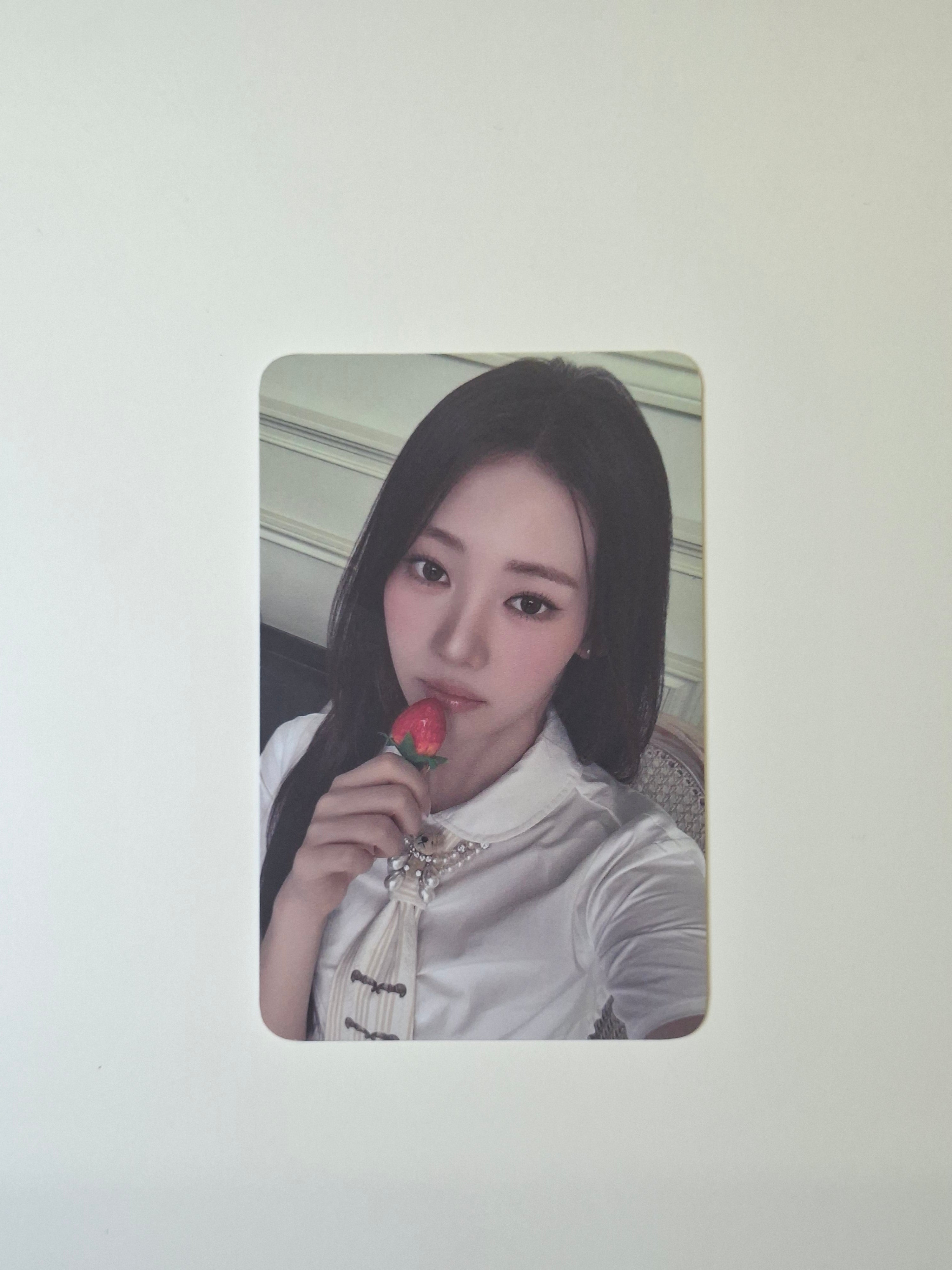 Babymonster Sugar Honey Ice Tea Makestar Lucky Draw