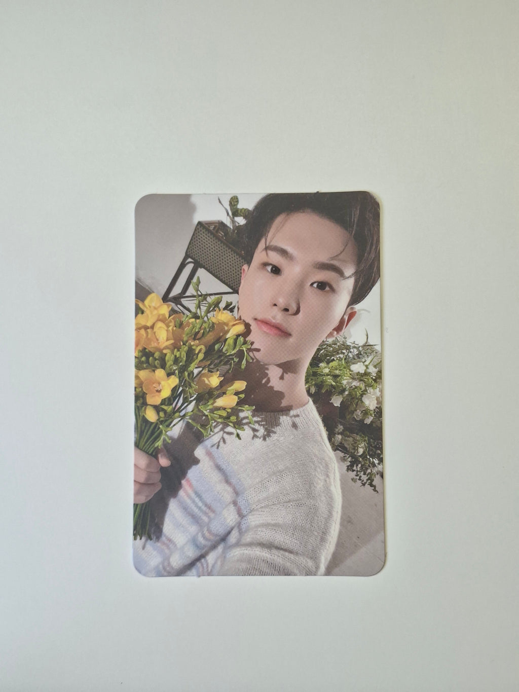 Seventeen Your Choice Album Photocard