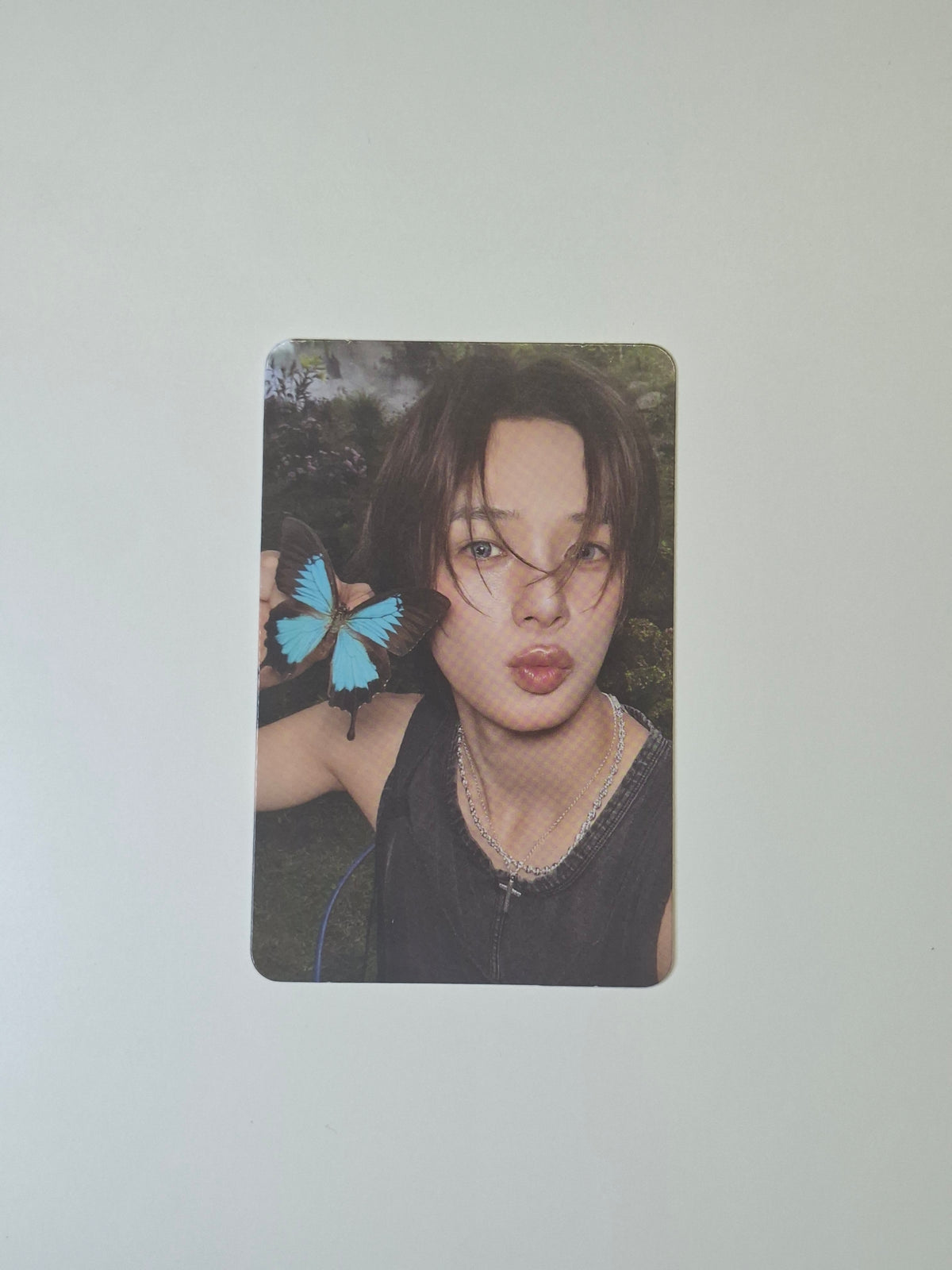 &Team Back to Life Roar Random Photocard