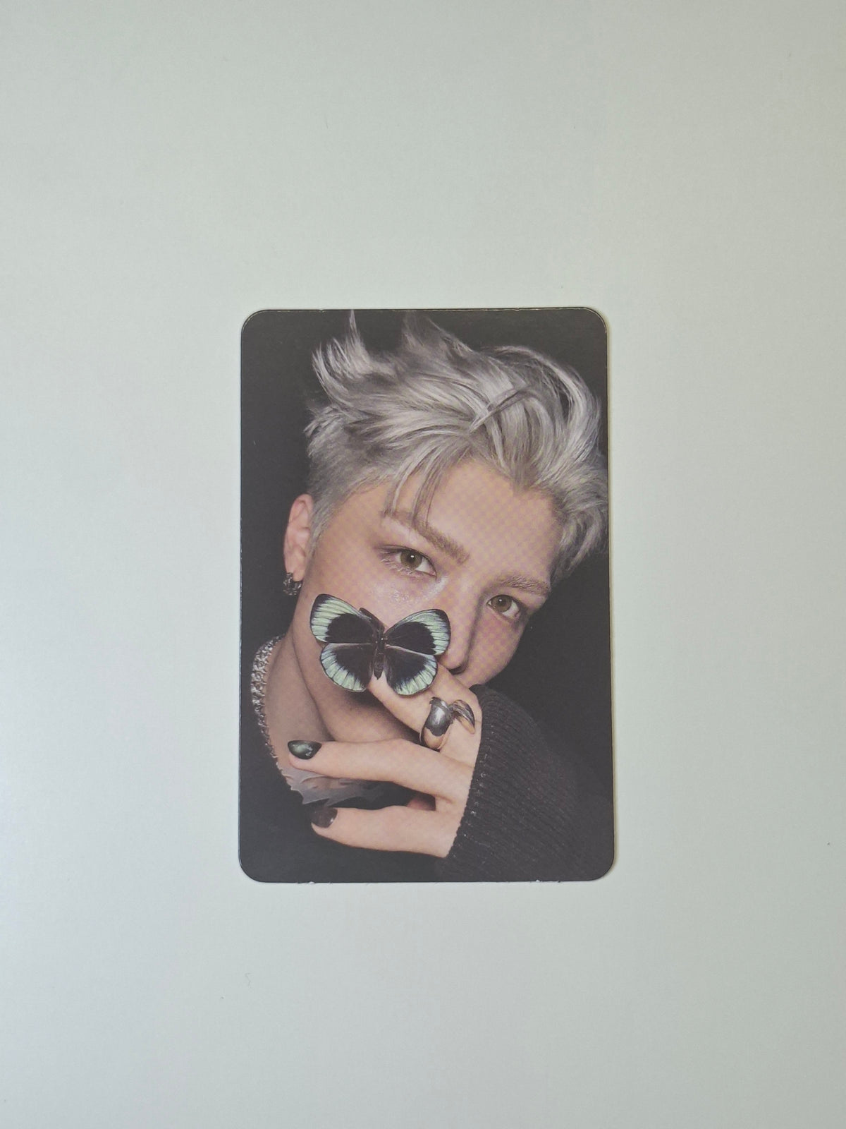 &Team Back to Life Roar Random Photocard
