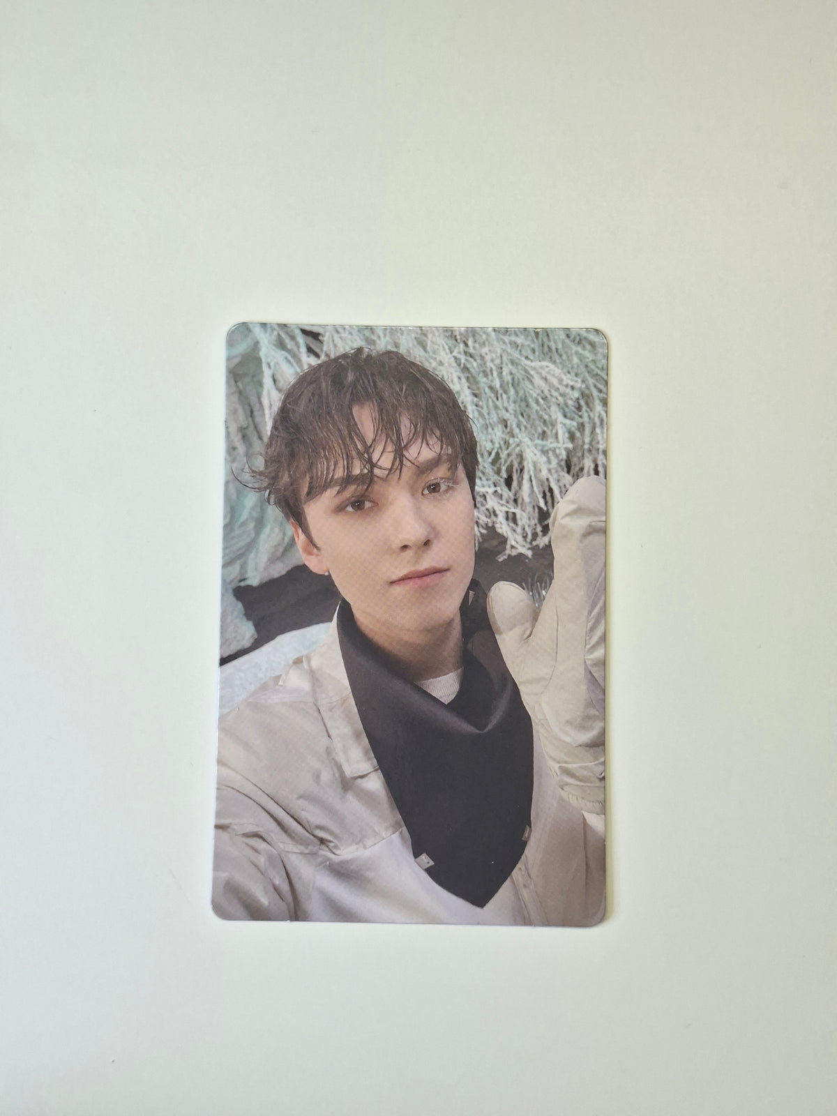 Seventeen Sector 17 Album Photocard