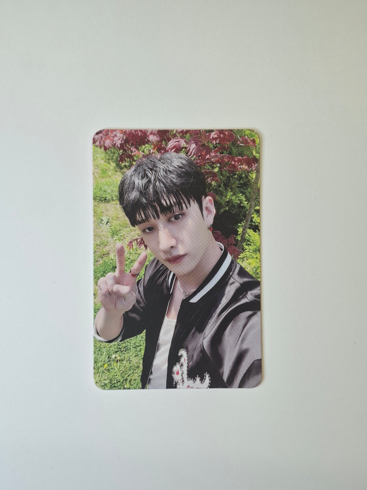 Stray Kids Maxident Album Photocard