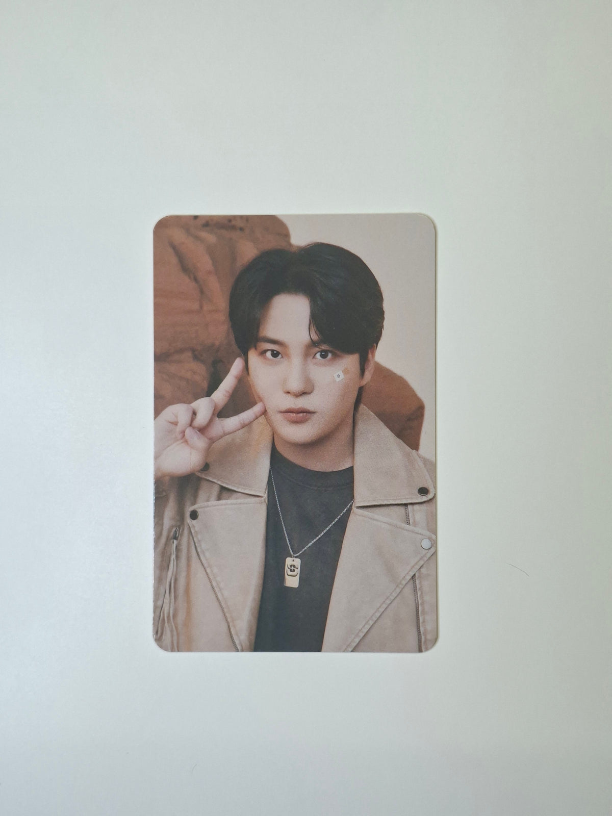 Ateez Aniteez in Treasure Photocard