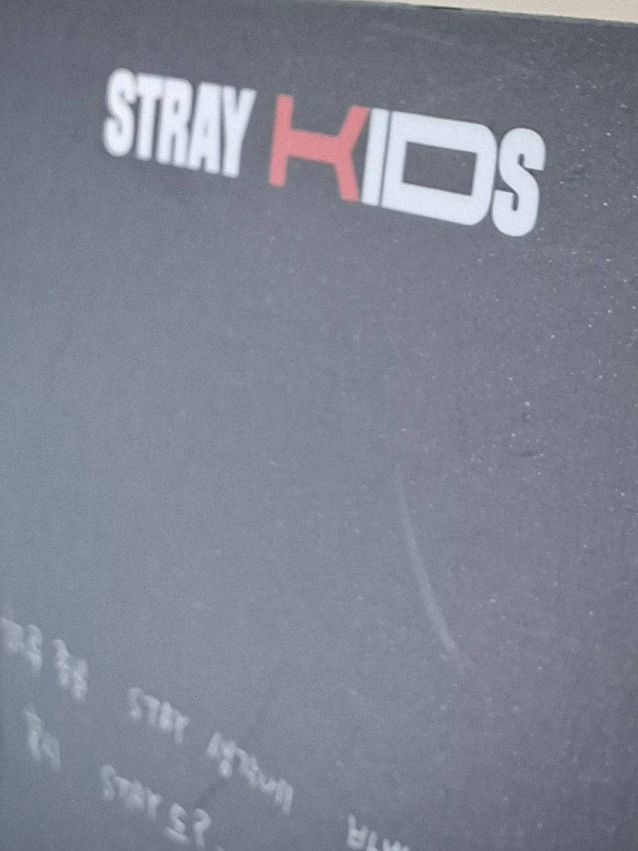 Stray Kids Go Live Album Photocard