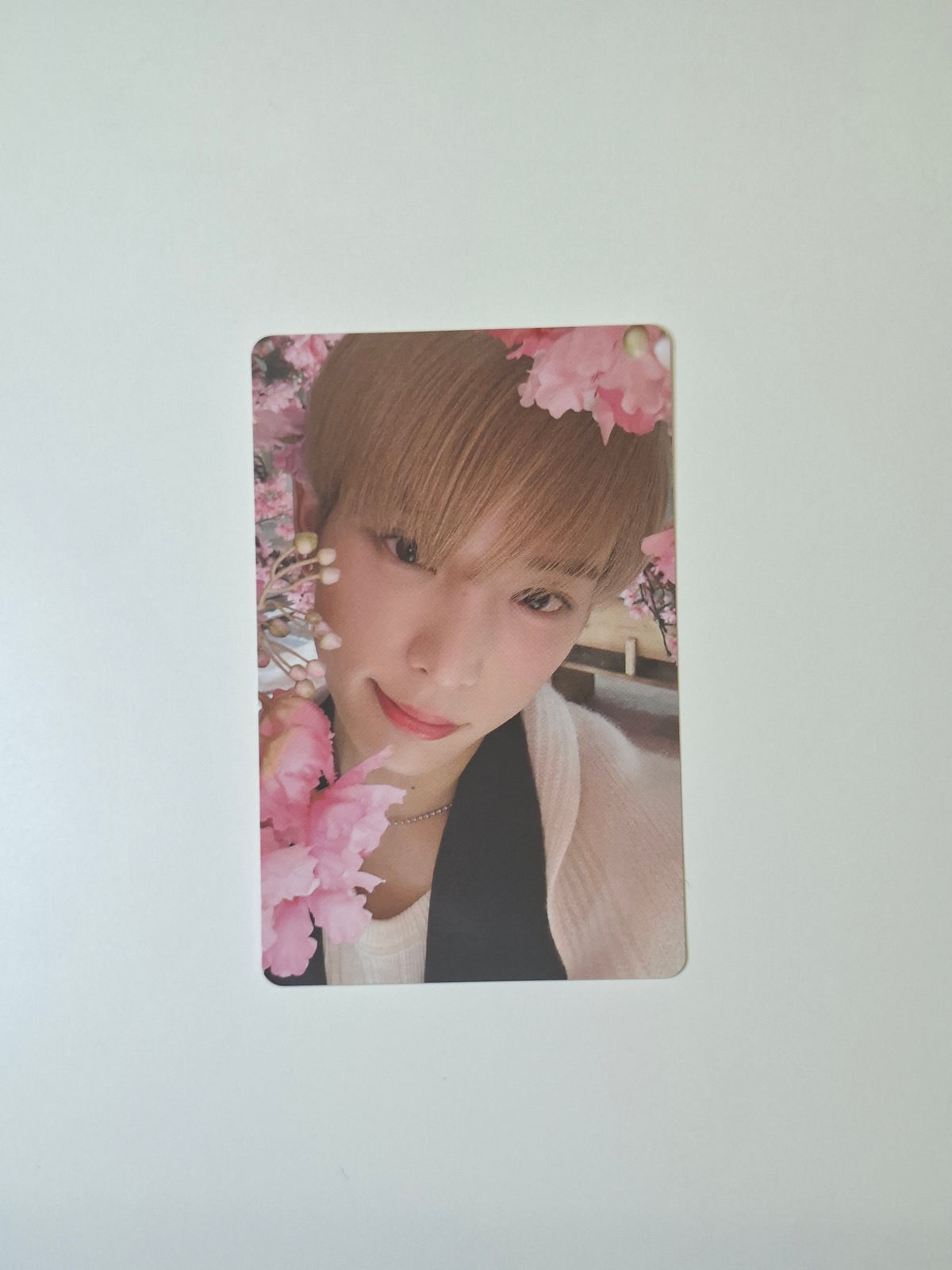 &Team Yukiakari Album Photocard