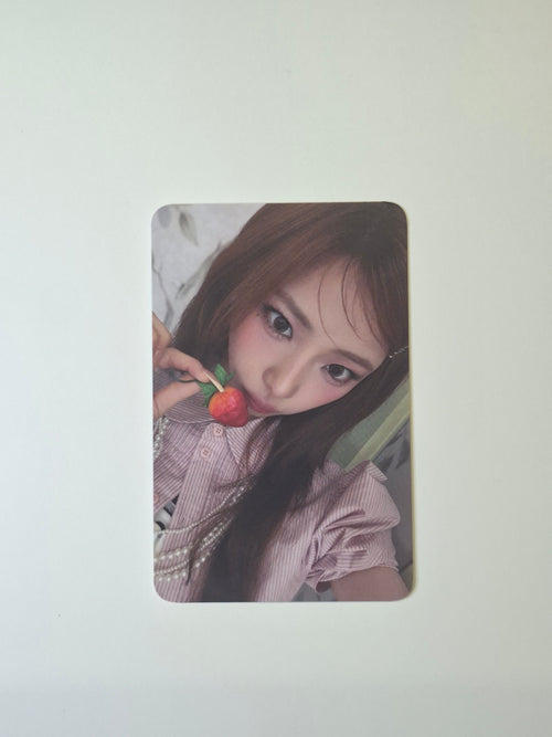 Babymonster Sugar Honey Ice Tea Makestar Lucky Draw