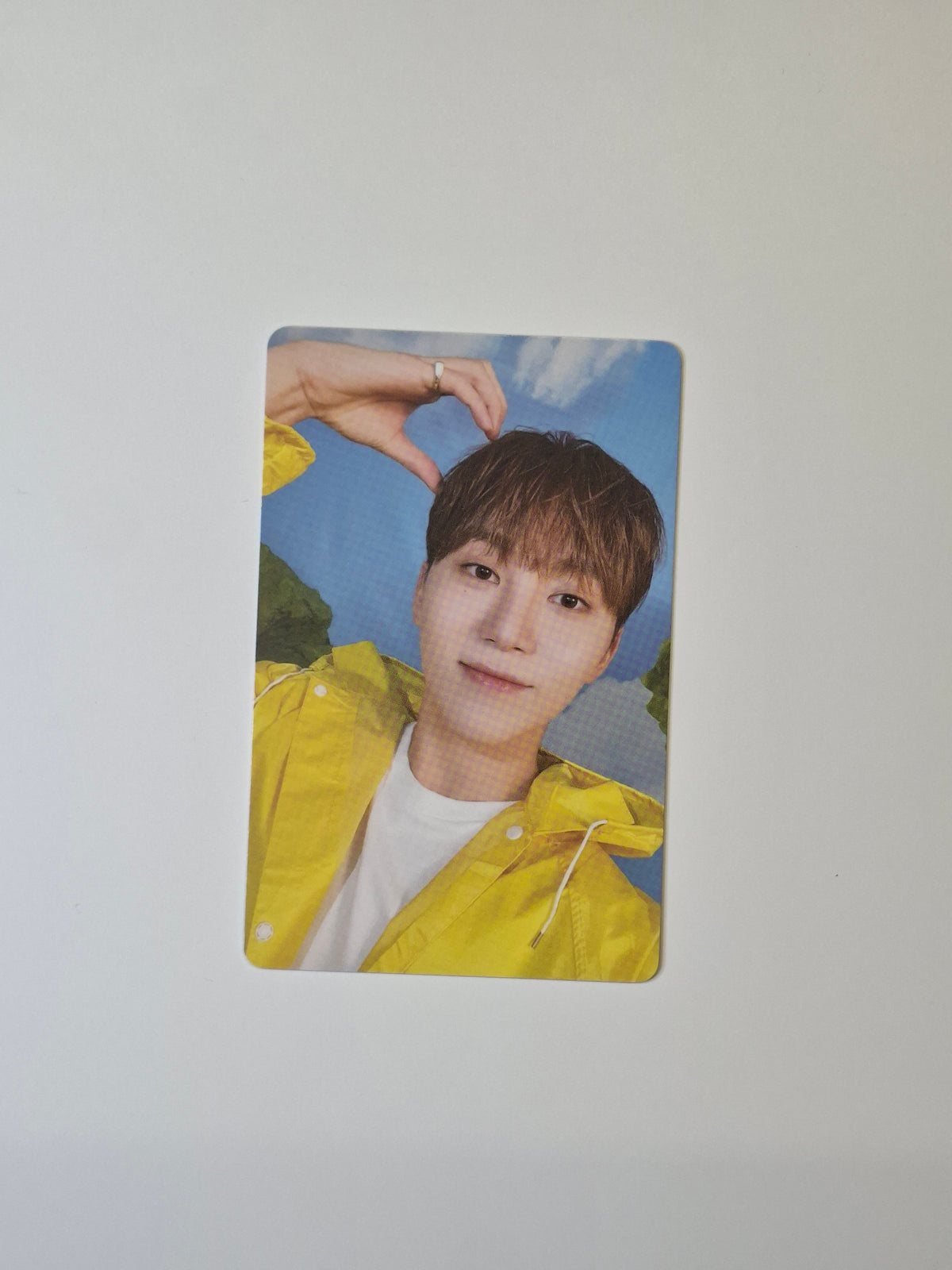 Seventeen Seventeenth Heaven Carat Photocard