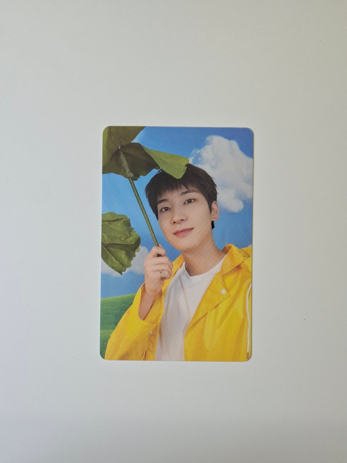 Seventeen Seventeenth Heaven Carat Photocard