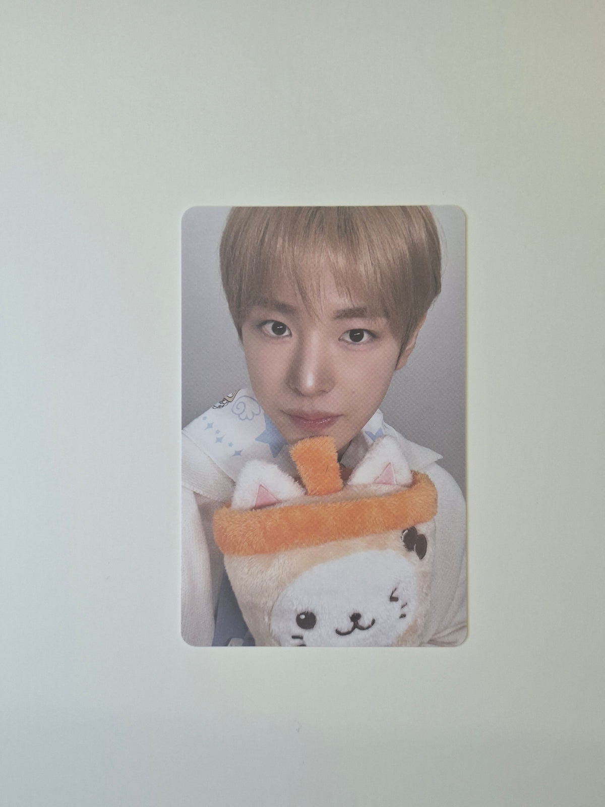 Nct Wish Wish Bakery Benefit