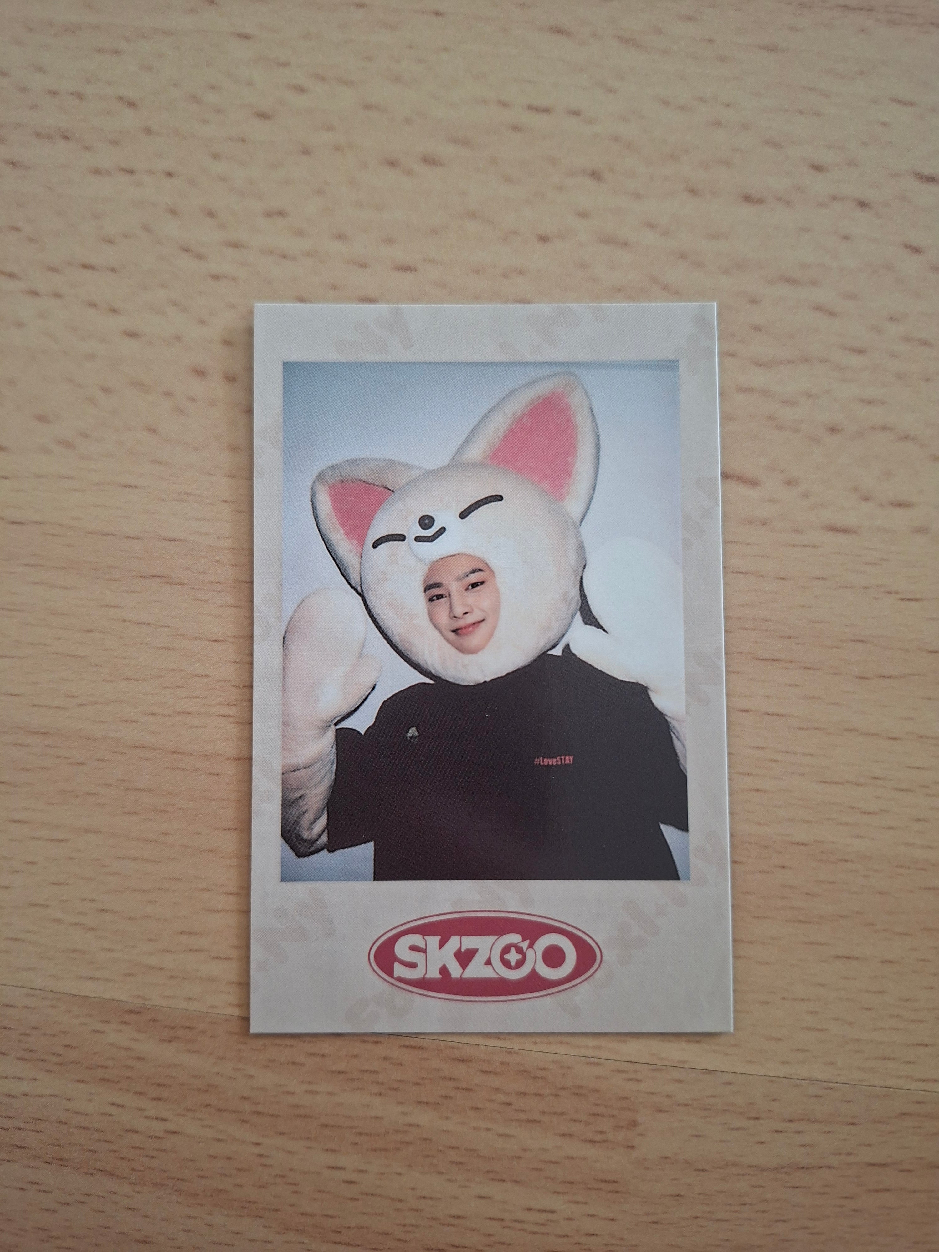 Stray Kids Skz-x & Skzoo Merch POB
