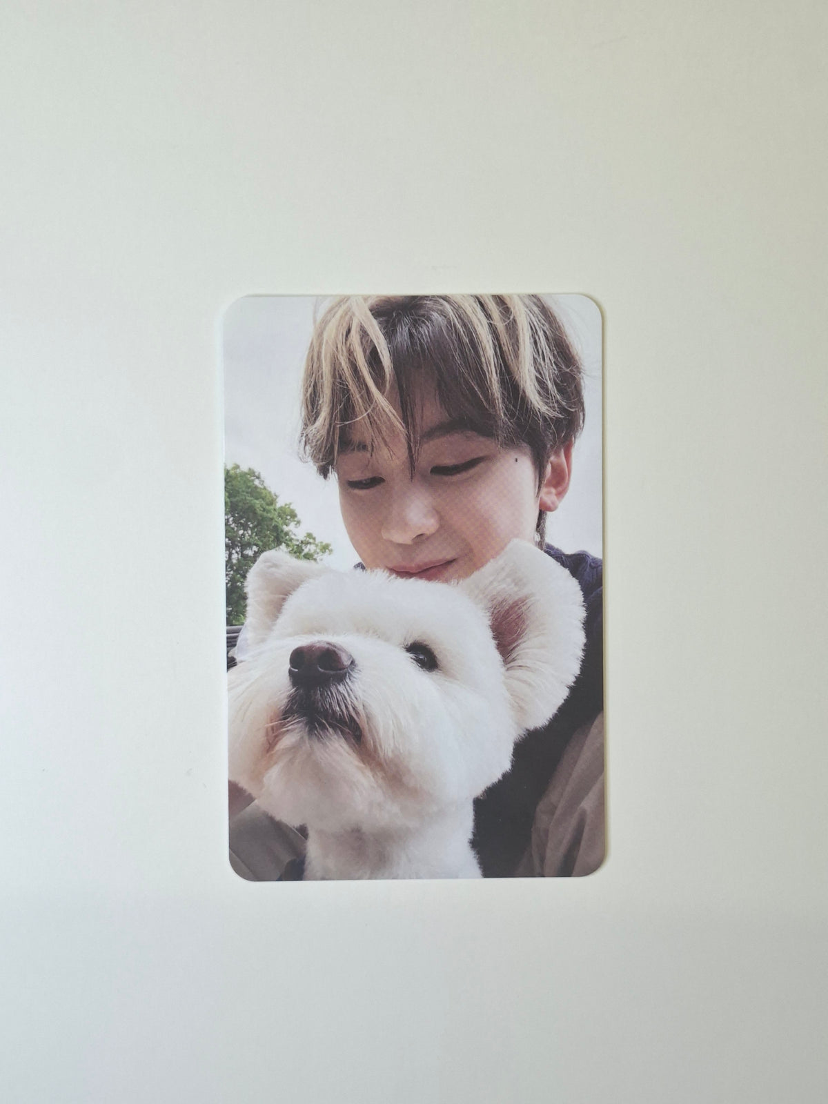 Zerobaseone Never say Never Digipack Photocard