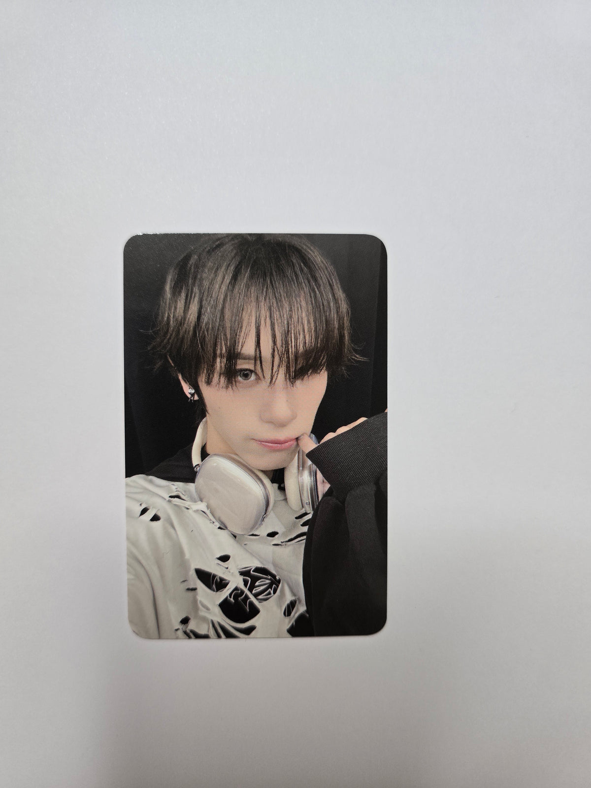 Xlov x EgoZgo Photocard set