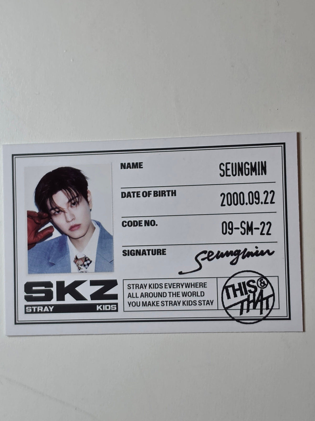 Stray Kids This & That ID Cards